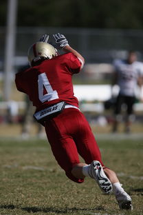 KAIYUNAPP-全国青少年跳水锦标赛在深圳火热进行，全国青少年跳水比赛